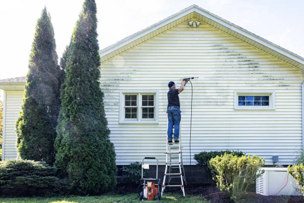 Best Roof Pressure Washing  in Scotia, NY